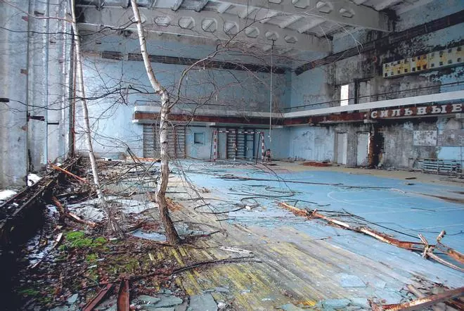 Flores en Chernóbil: la vida en los paisajes posthumanos