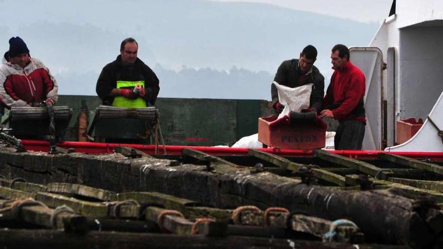 &quot;Encordado&quot; de la mejilla en un barco abarloado a una batea arousana. // Iñaki Abella