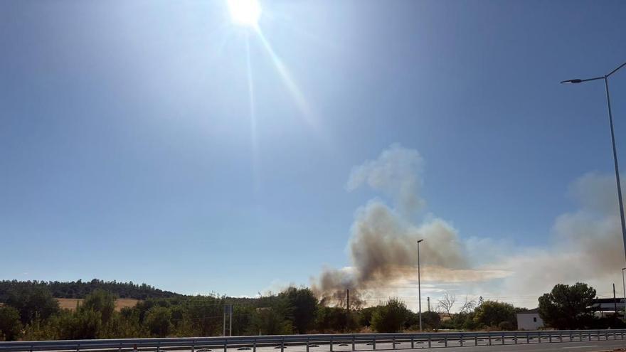 Vídeo | Incendio de pastos en la carretera de Badajoz a Sevilla