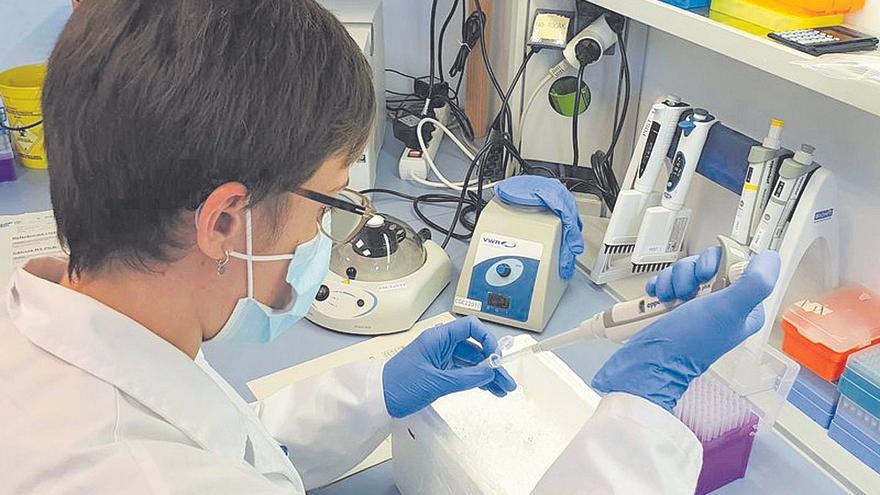 L’òmicron ja és present en el 75% de proves analitzades a Girona