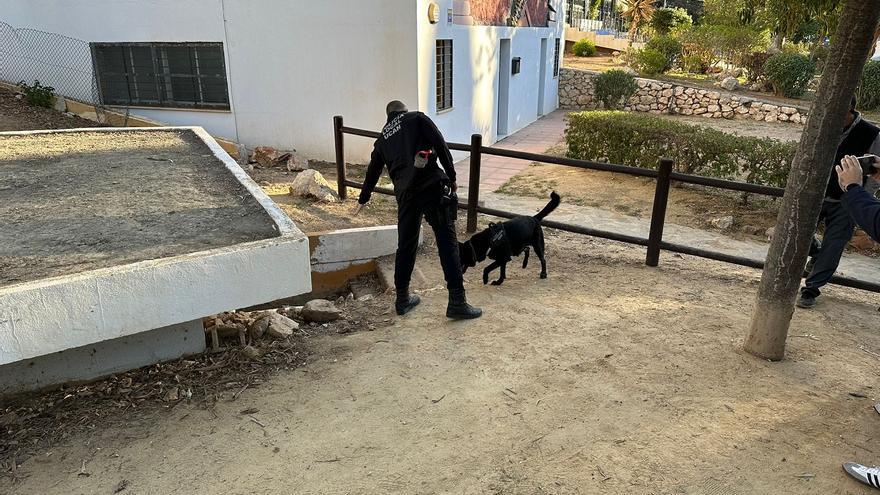 Los perros antidroga de las Policías Locales de Andalucía se entrenan en Rincón