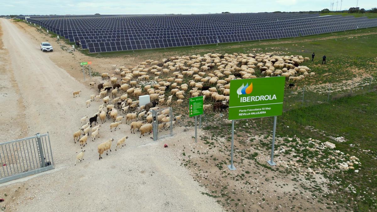 La planta solar fotovoltaica Revilla-Vallejera.