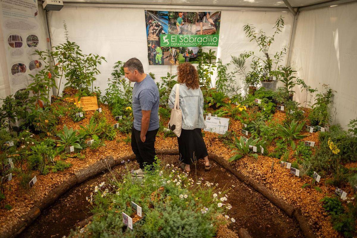 Exposición de plantas del Parque García Sanabria