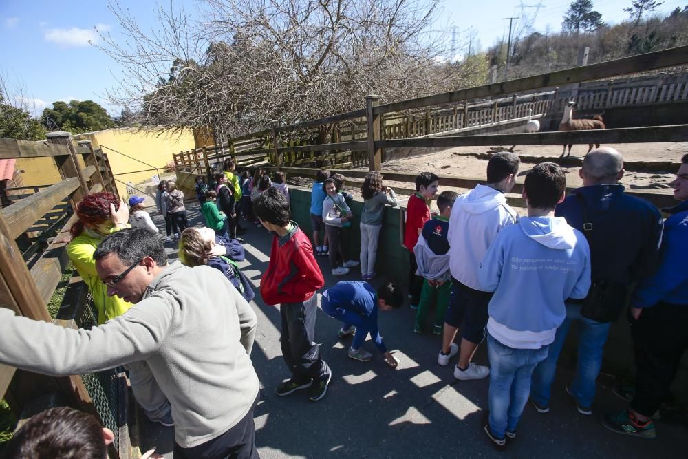 Visita escolar a Vigozoo