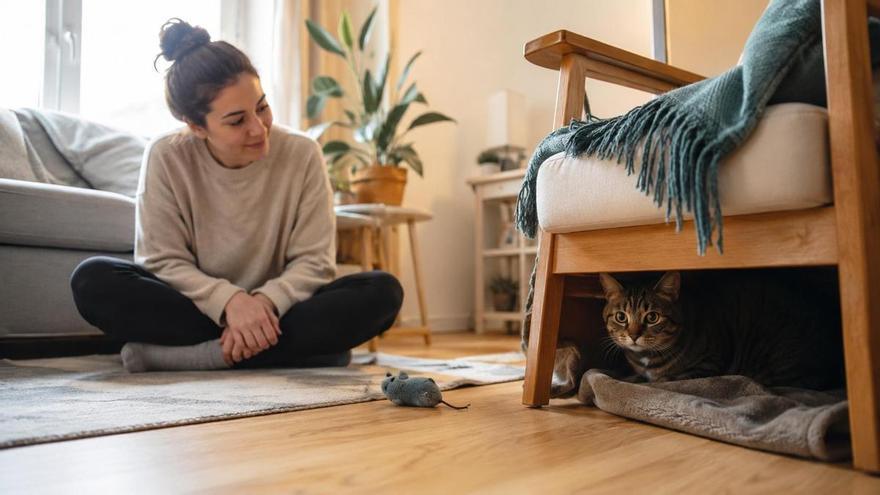 Una etóloga explica qué hacer si tu gato recién adoptado se pasa el día escondido
