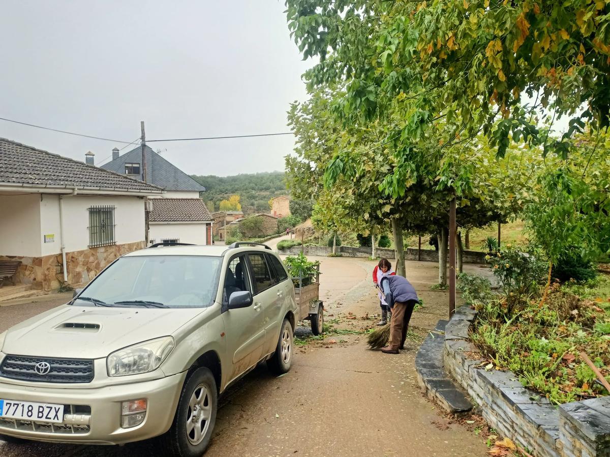 Los vecinos de Bercianos trabajan en el Concejo del Común y disfrutan de la convidada con motivo de la fiesta de San Cosme y San Damián.