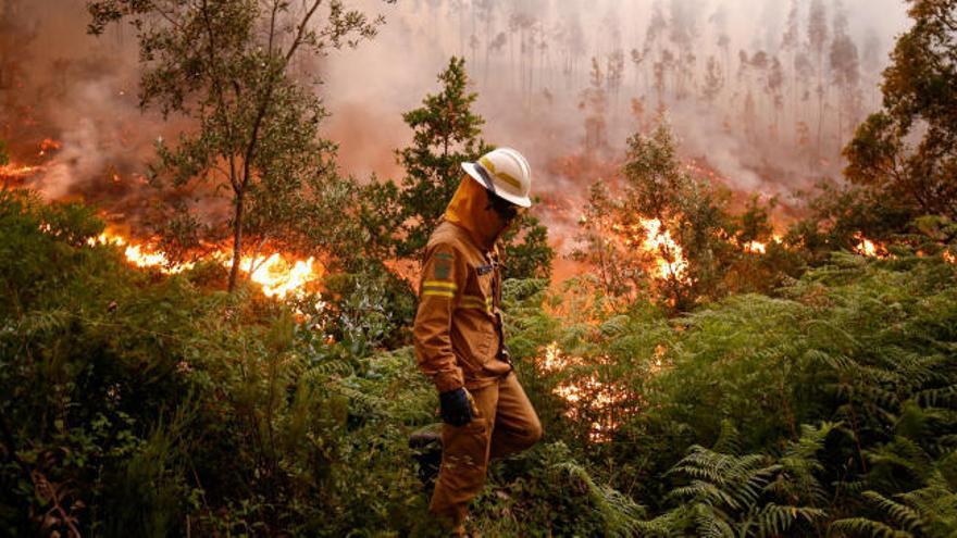 Continúa activo el peor incendio de la historia reciente de Portugal