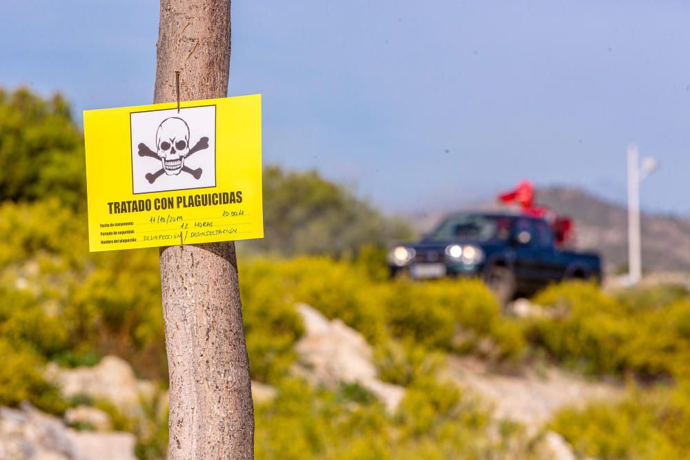 Comienzan las labores de fumigación sobre el foco de fiebre Q en La Vila