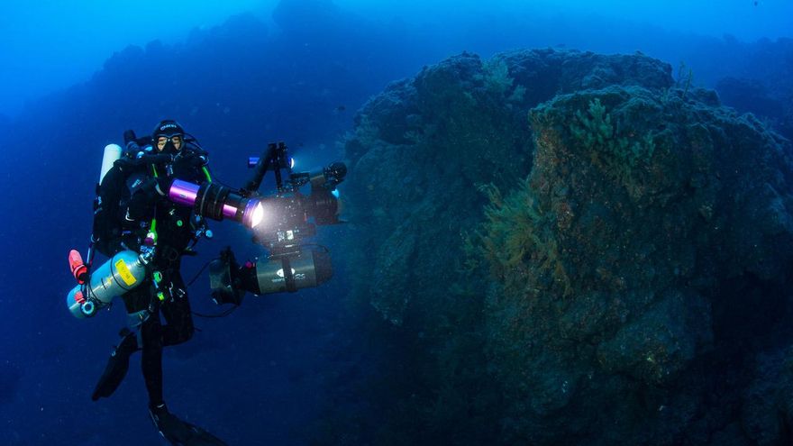 Los corales negros permanecen intactos pese a la furia del volcán de La Palma