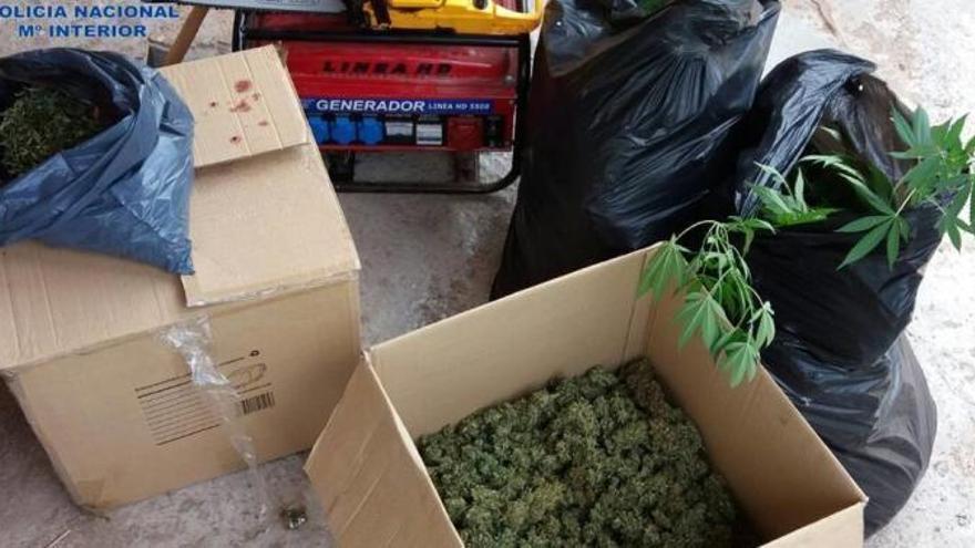 Die Policía Nacional fand in einer Finca in Llubí vier Kilogramm Marihuana.