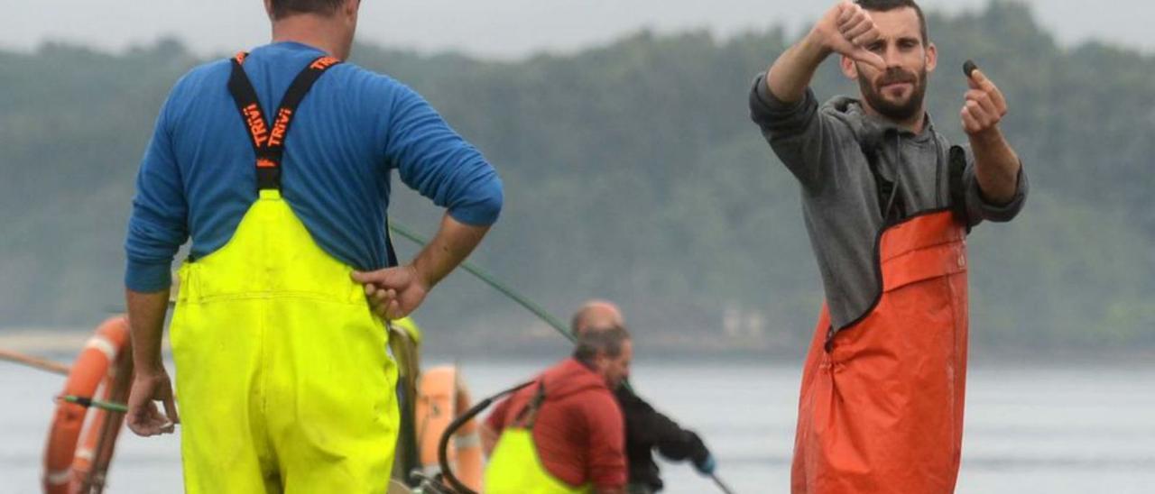 Un marinero muestra una almeja de pequeño tamaño y su desaprobación con la campaña. |   //  NOÉ PARGA