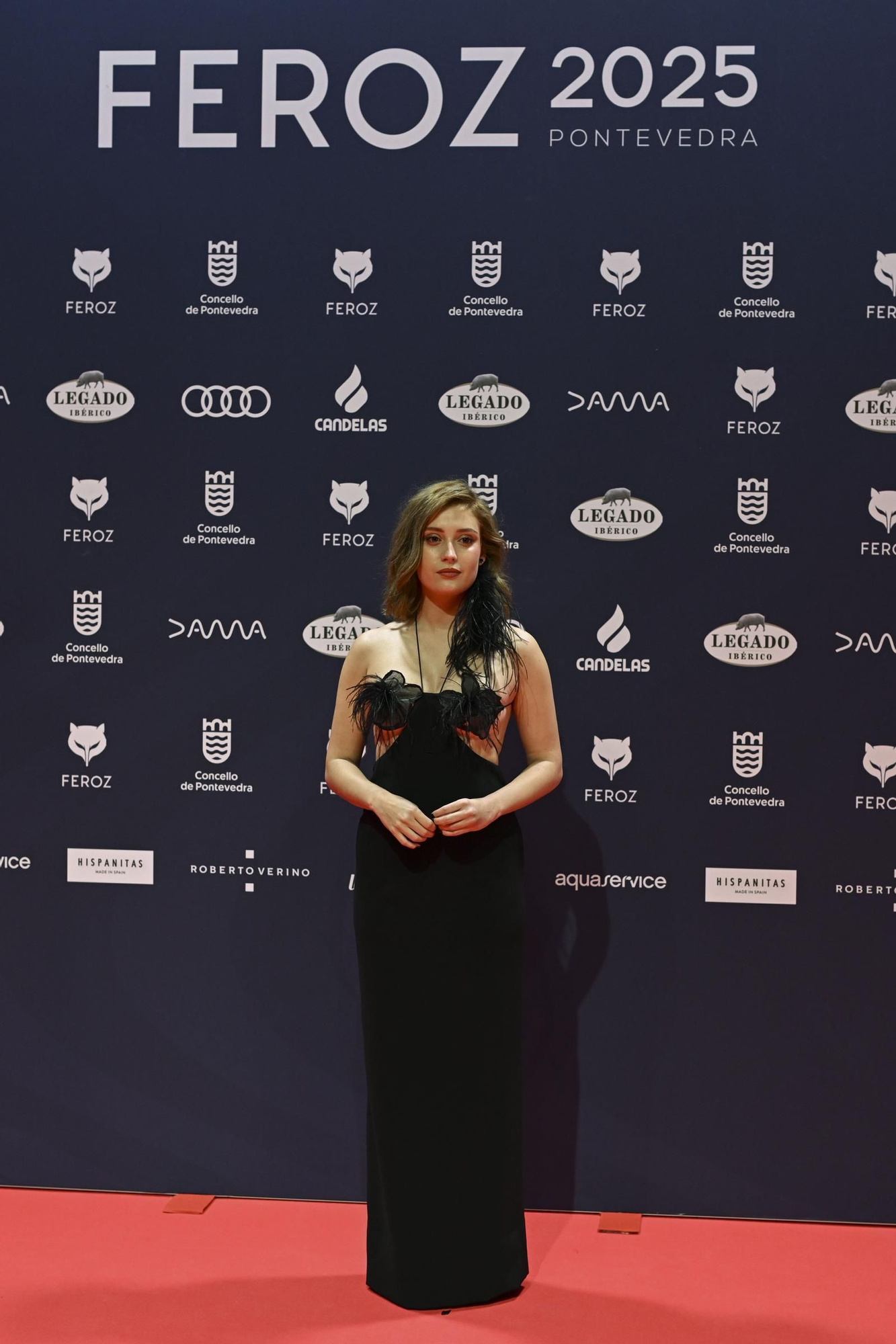 Alfombra roja de los Premios Feroz 2025