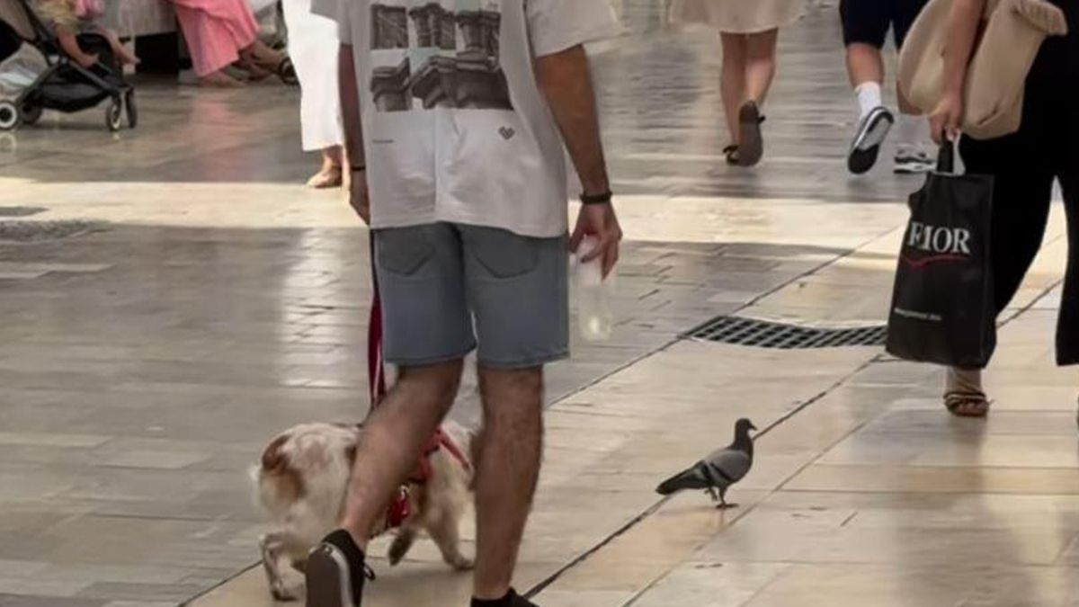 Persecución de "película" en pleno en plena calle Larios de Málaga capital.