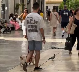 Persecución “de película” en la calle Larios: la curiosa estampa que ha sorprendido a los malagueños en pleno centro de Málaga
