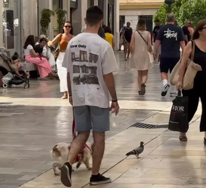 Persecución “de película” en la calle Larios: la curiosa estampa que ha sorprendido a los malagueños en pleno Centro de Málaga