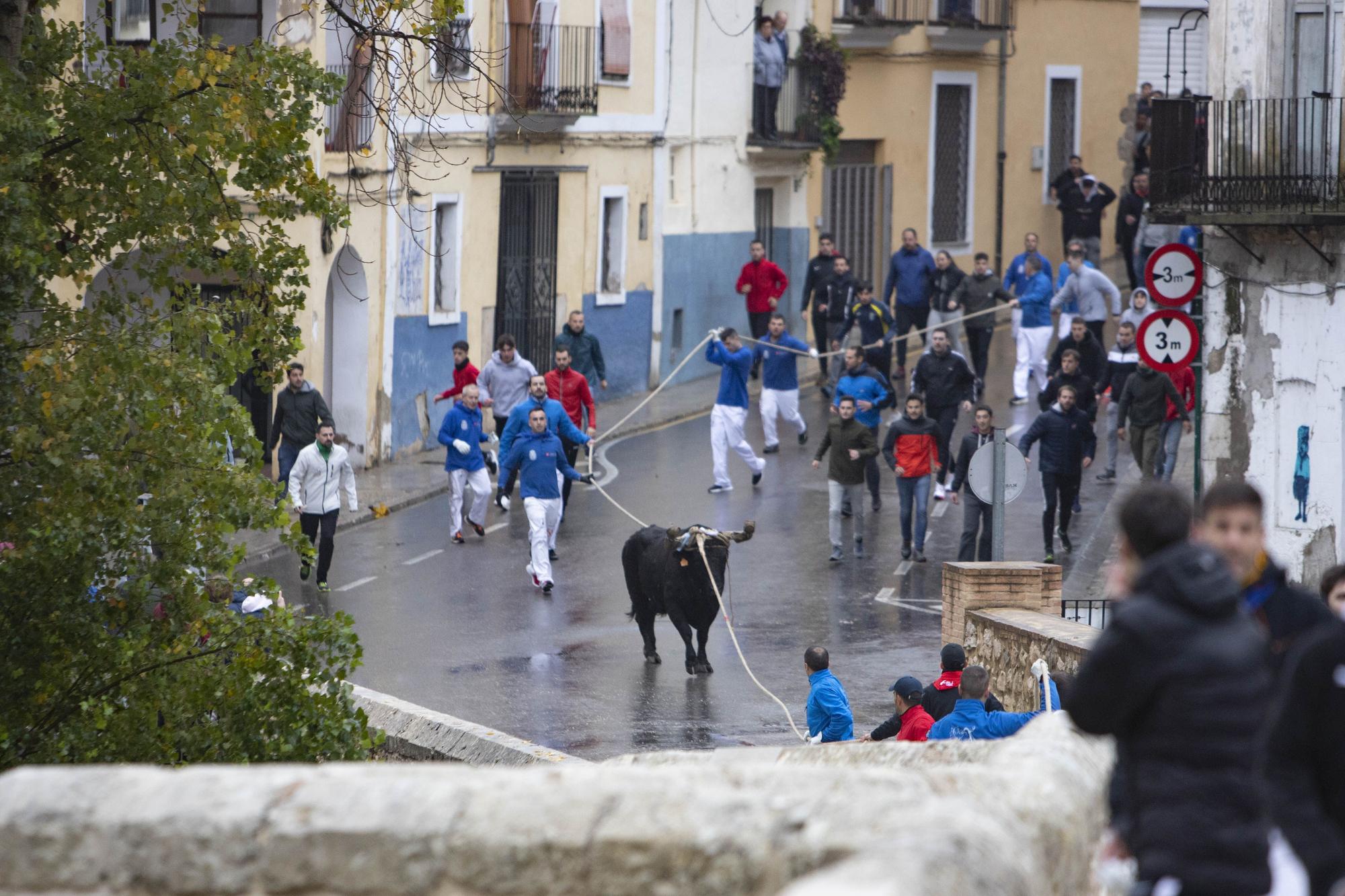 El "Bou en corda" vuelve al Pont Vell de Ontinyent