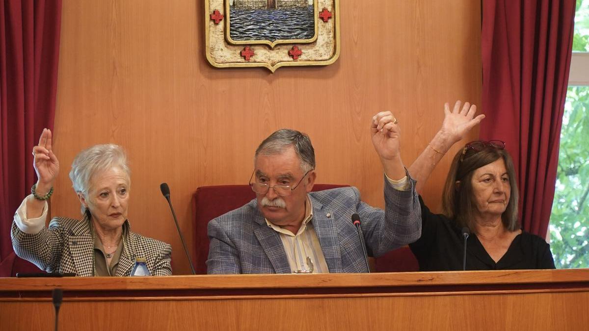 Un momento del pleno de Oleiros