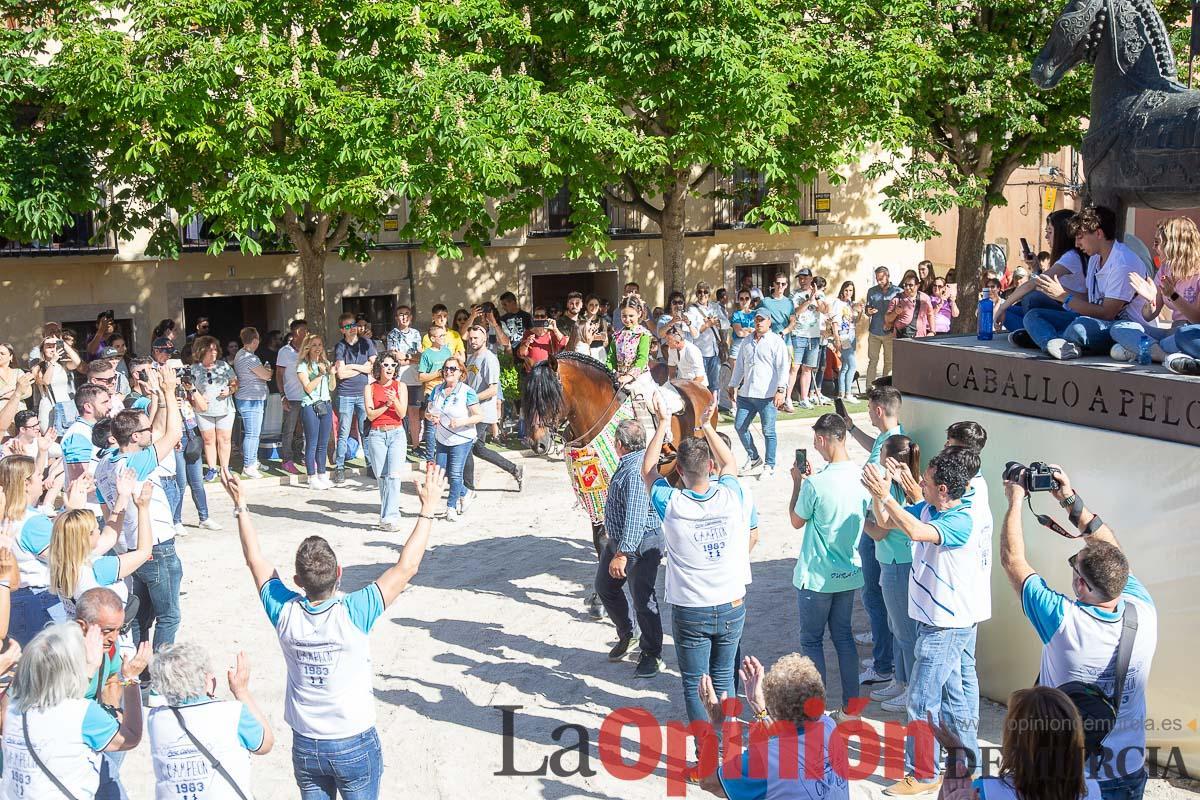 Entrada de caballos al Hoyo en las Fiestas de Caravaca
