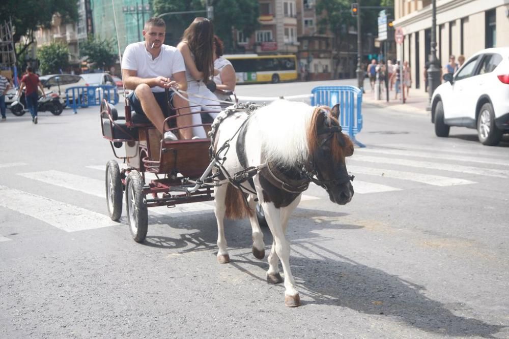 Día del caballo en la Feria de Murcia 2018