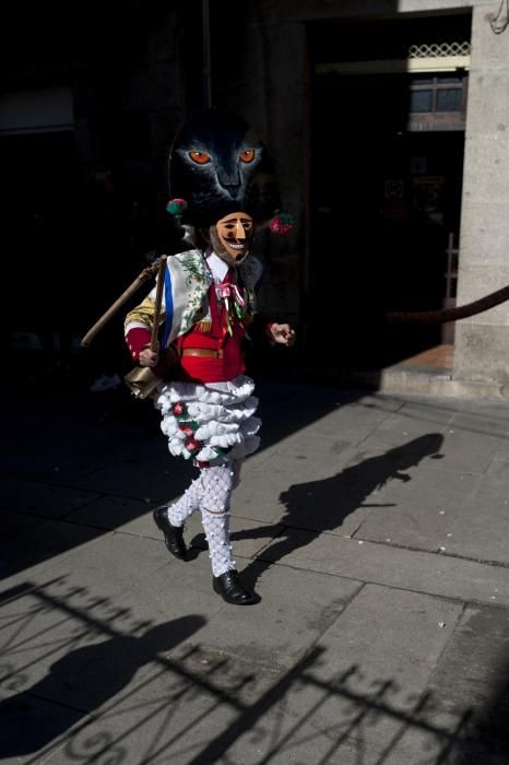 Los cigarrones de Verín, el corredoiro de pantallas de Xinzo y los disfraces de Seixalbo tiñen de humor y color las calles de la provincia