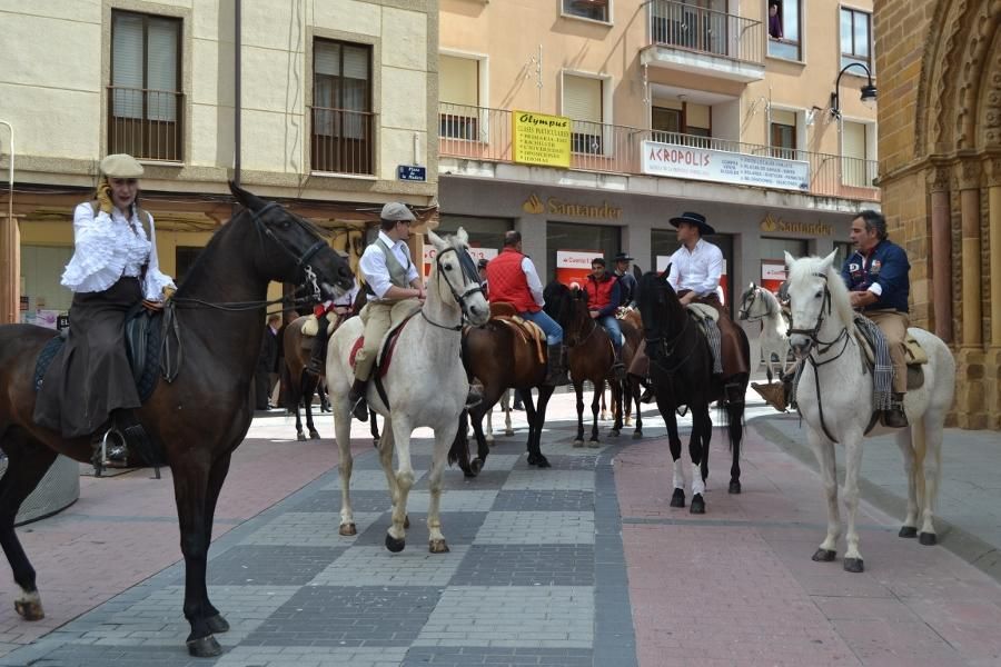 Día del Caballo en Benavente