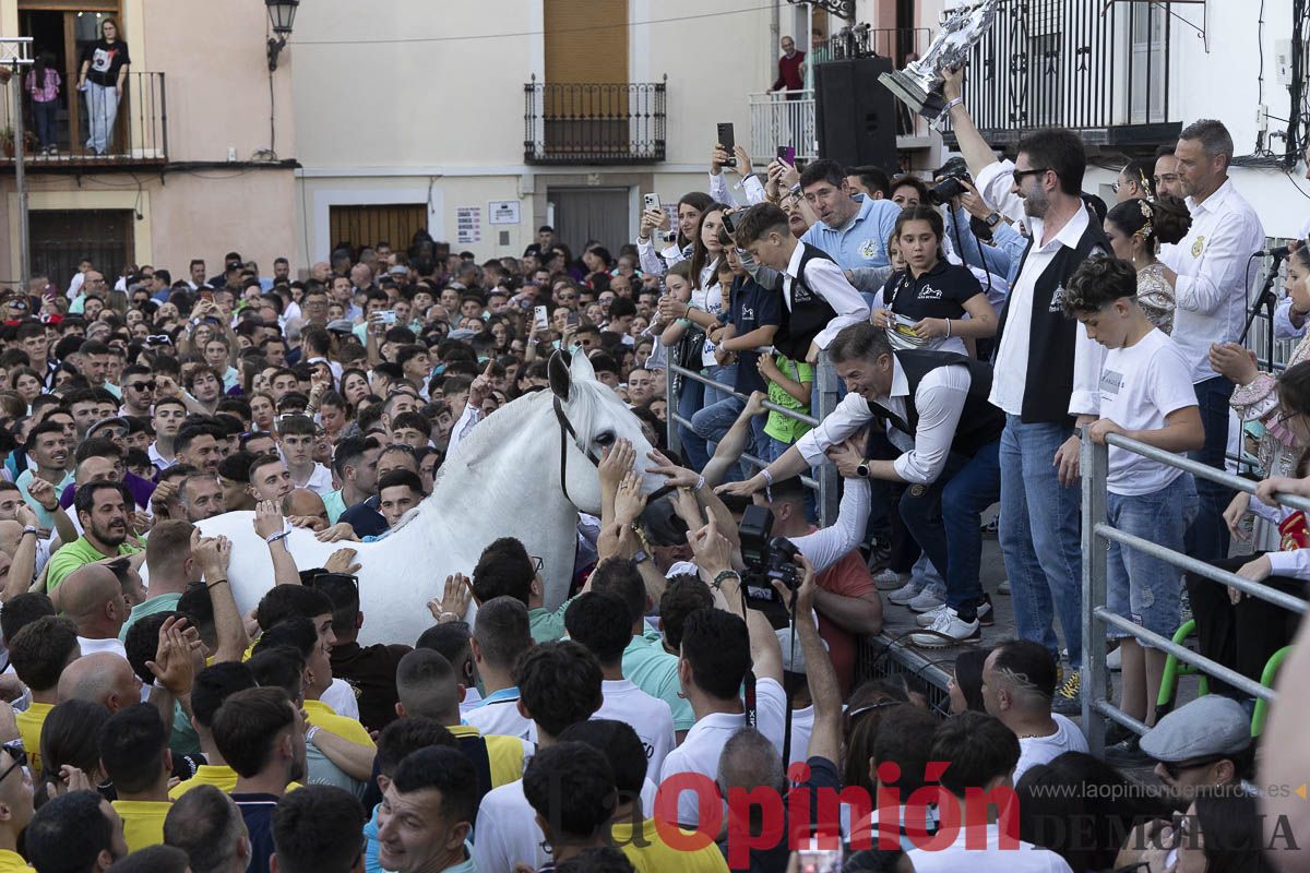 Fiestas de Caravaca | Entrega de premios del concurso morfológico
