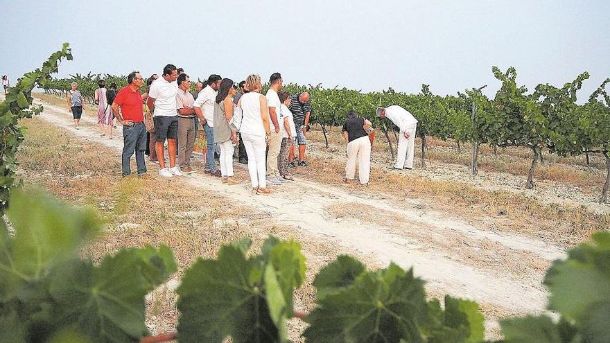 La Ruta del Vino de Montilla-Moriles se adhiere a la Red de Destinos Inteligentes