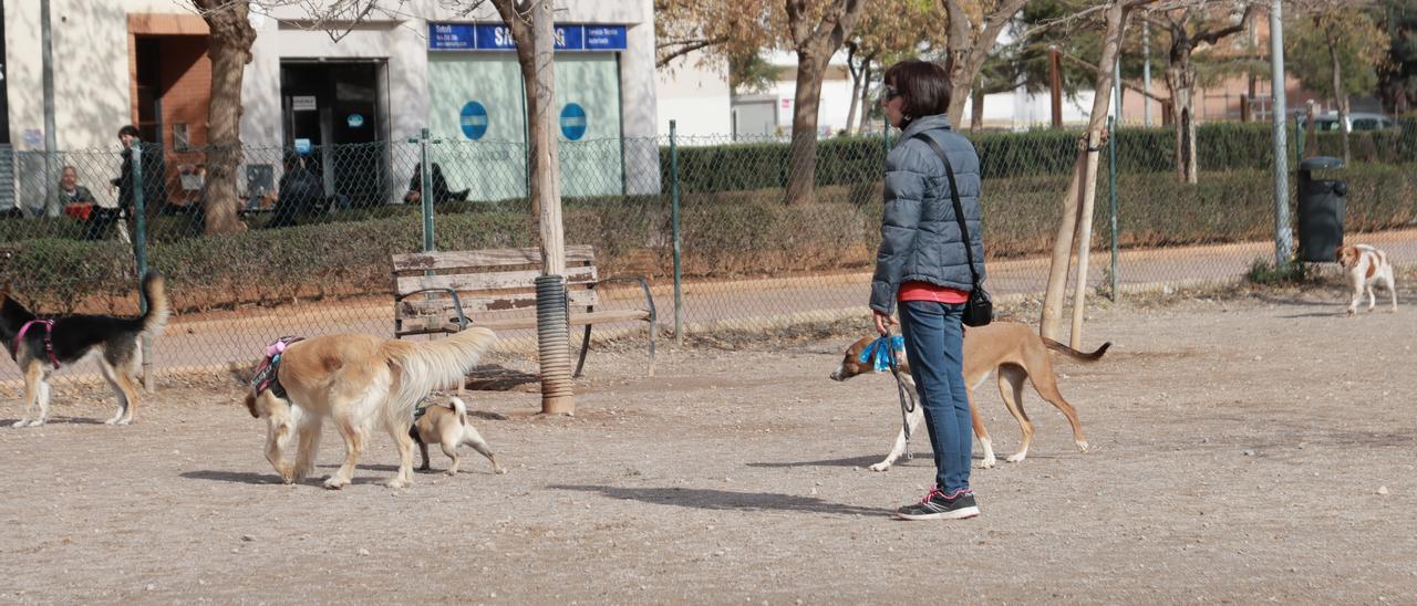 Una mujer, durante el día de ayer, en la zona de esparcimiento canino donde se centran las denuncias vecinales.