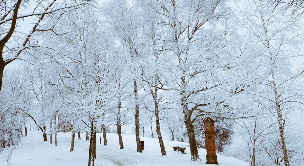 Neu a la Garrotxa.