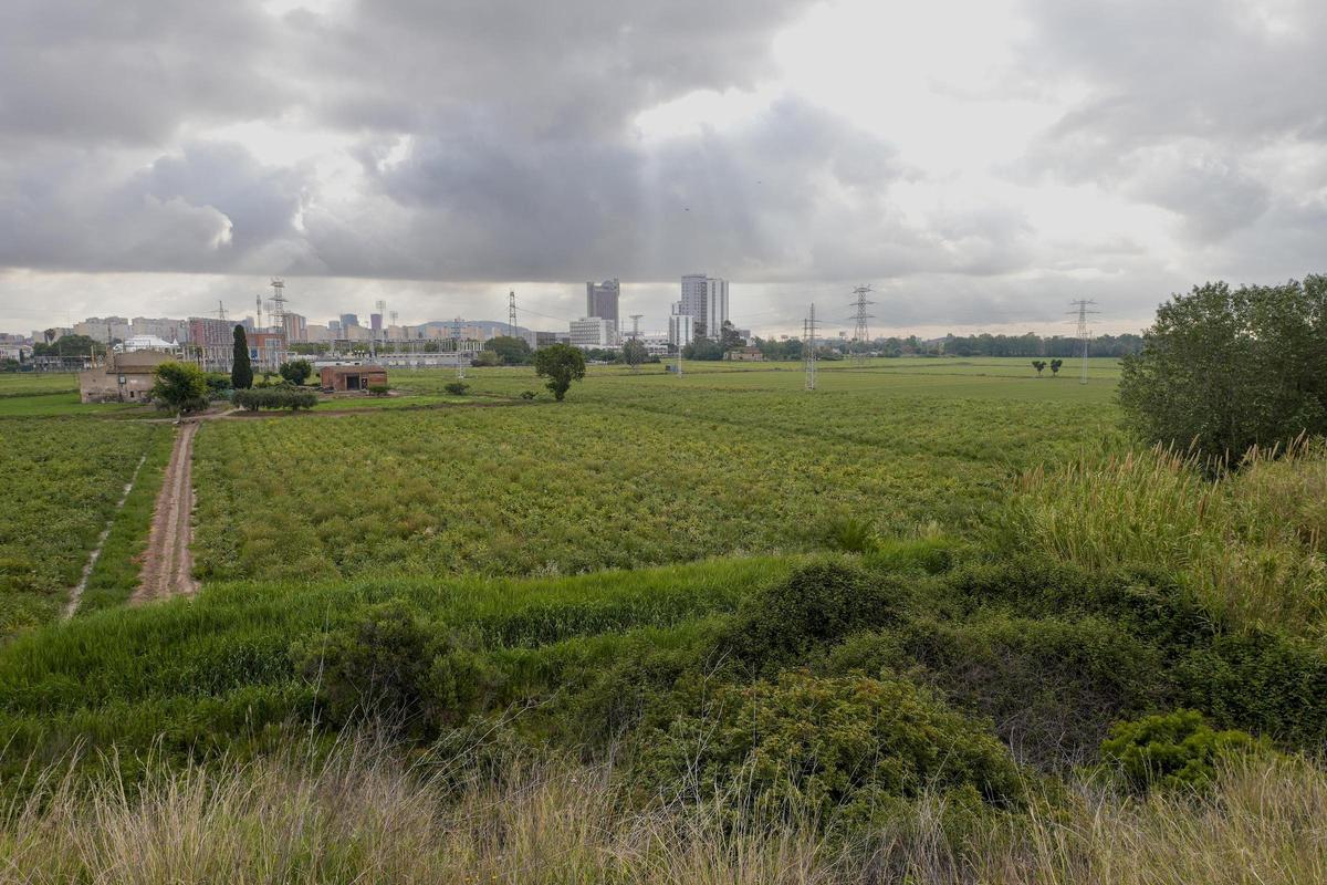 Los campos de cultivo junto a la masía de Cal Trabal, el último reducto agrícola de L'Hospitalet.