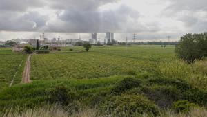 Los campos de cultivo junto a la masía de Cal Trabal, el último reducto agrícola de LHospitalet.