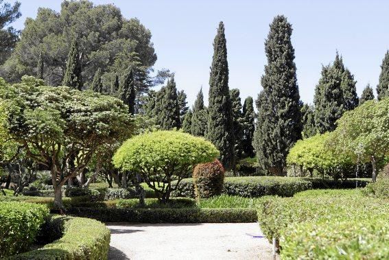 Lustwandeln wird zum Bürgerrecht. Die Gärten der königlichen Sommerresidenz in Palma öffnen erstmals für Besucher. Darüber freuen sich nicht nur Botanik-Fans, denn mit Skulpturen von Joan Miró kehr