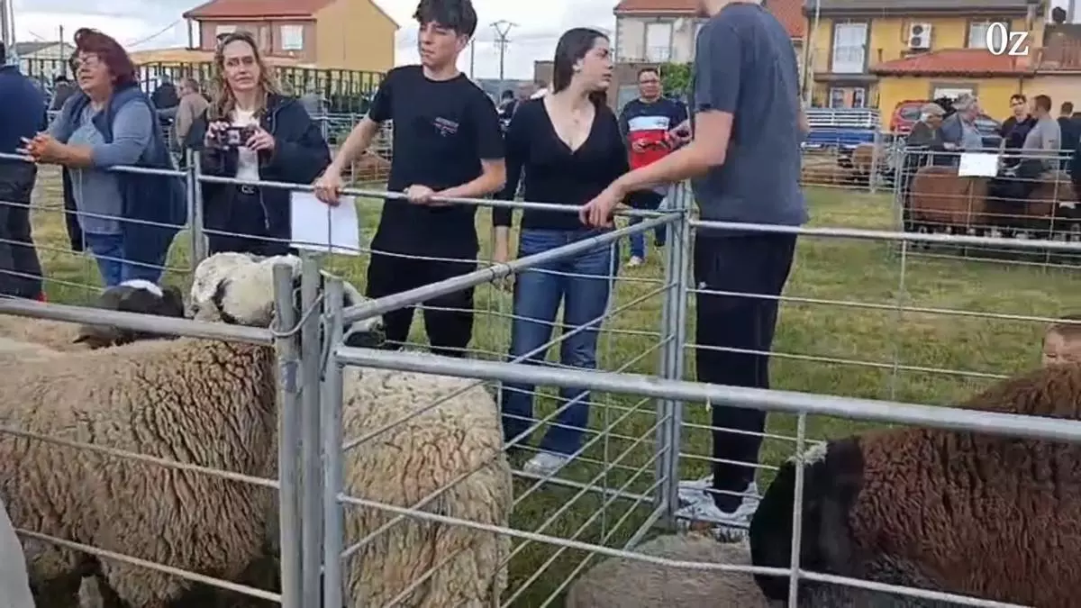 Jóvenes agroganaderos en Carbajales: "Disfrutamos trabajando pero la burocracia es un martirio"