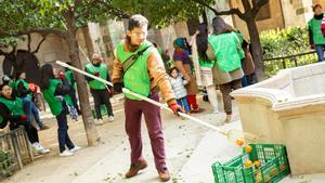 Recogida solidaria de naranjas amargas en Barcelona