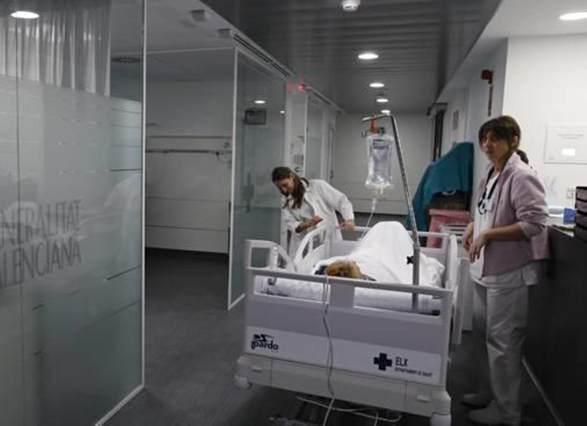 El área de Urgencias del Hospital General, en imagen de archivo.