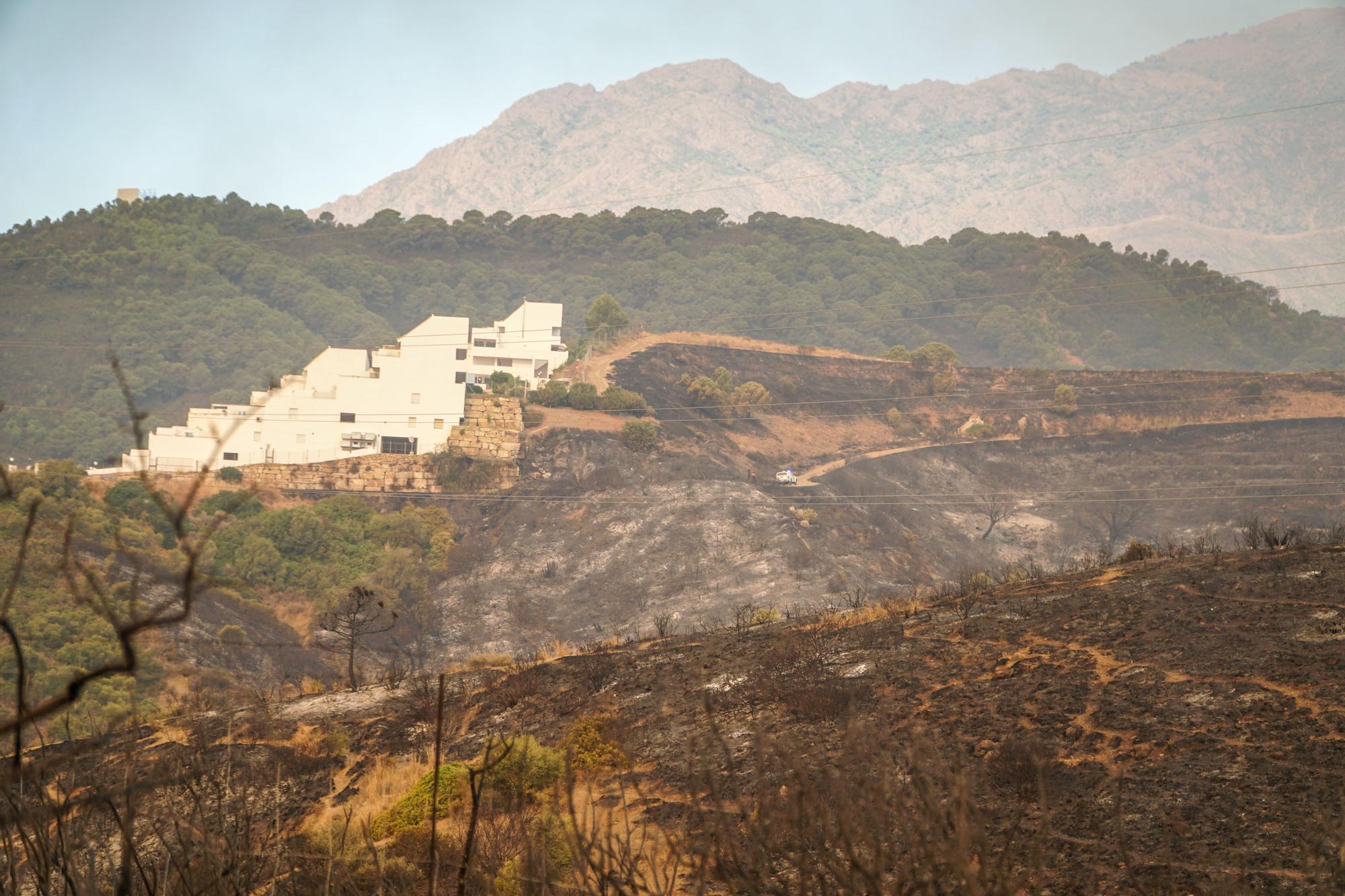 Un incendio en Sierra Bermeja afecta a Jubrique, Genalguacil y Estepona