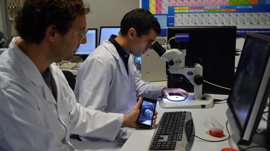 Investigadores de la UPCT observan al microscopio los restos hallados en Calasparra.