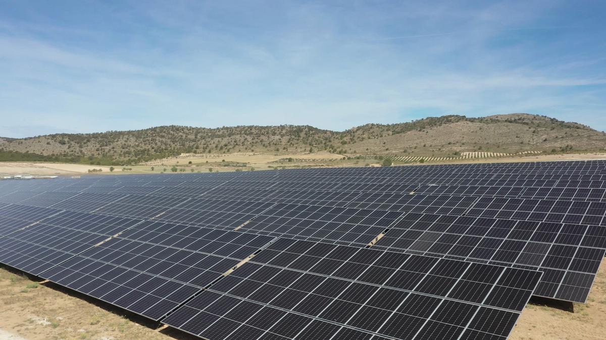 Proyecto fotovoltaico de Iberdrola y Norges en Murcia