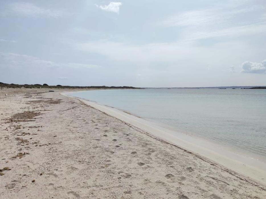 Este valenciano navega desde los 8 años y conoce bien las aguas de las Pitiusas