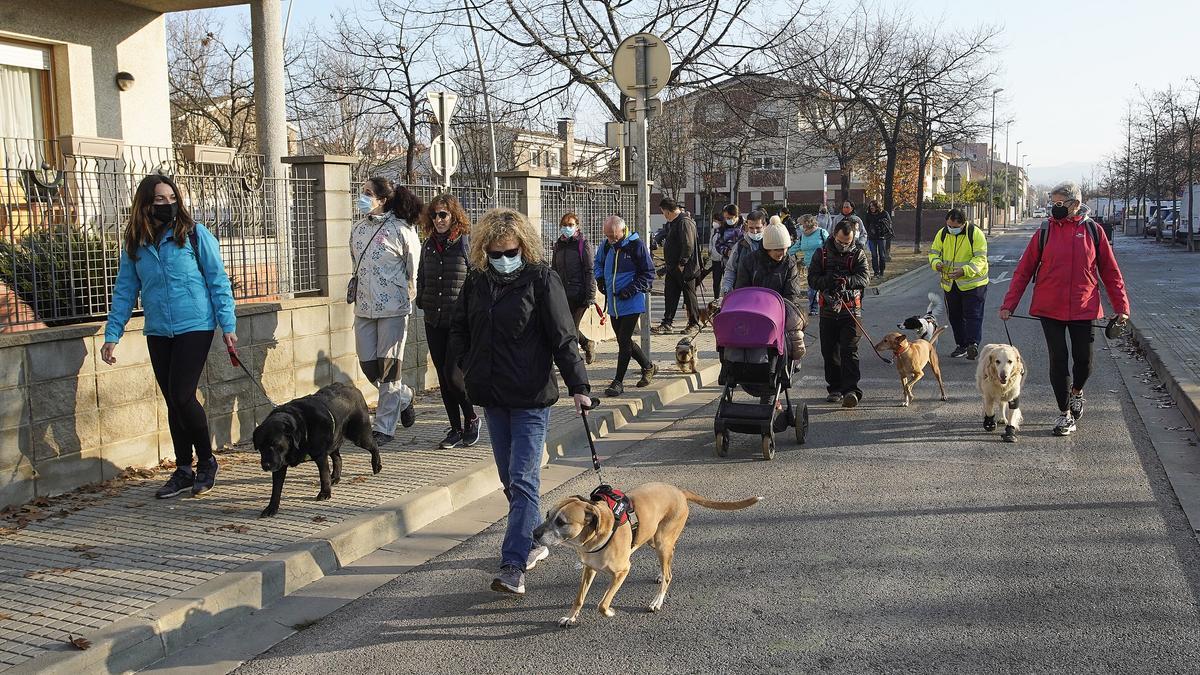 Caminada amb gossos per la Marató de TV3 a Salt