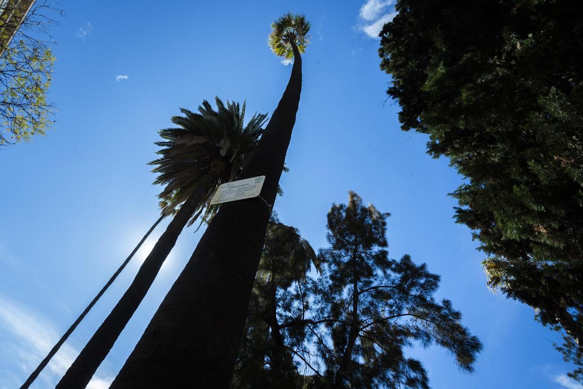 Jardines de la Glorieta