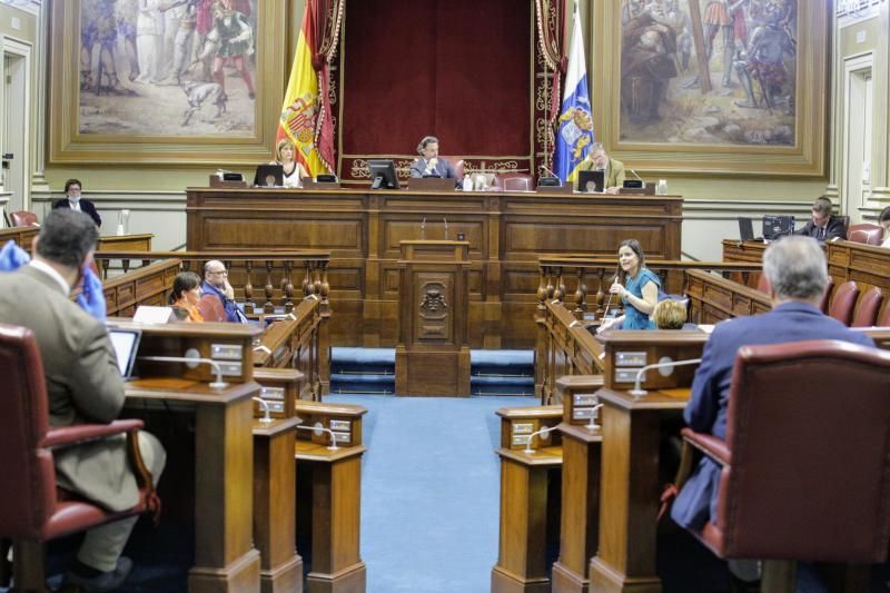 Pleno del Parlamento de Canarias  preside Gustavo Matos , presidente del gobierno , Victor Torres   | 19/05/2020 | Fotógrafo: Delia Padrón