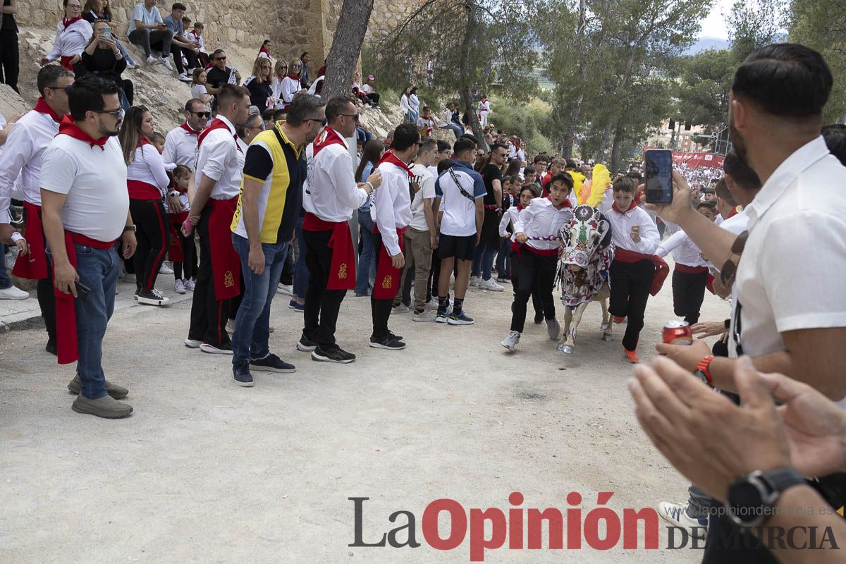Fiestas de Caravaca | Desfile infantil del Bando de los Caballos del Vino