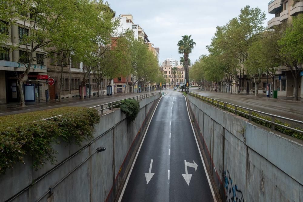 Solo dos de cada diez vehículos circulan por las calles de Palma