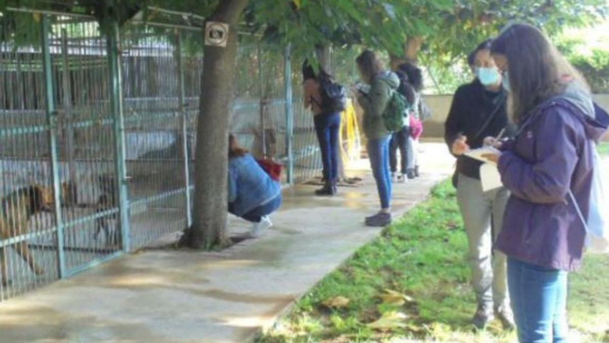 Una visita recent d’un grup d’alumnes a la protectora