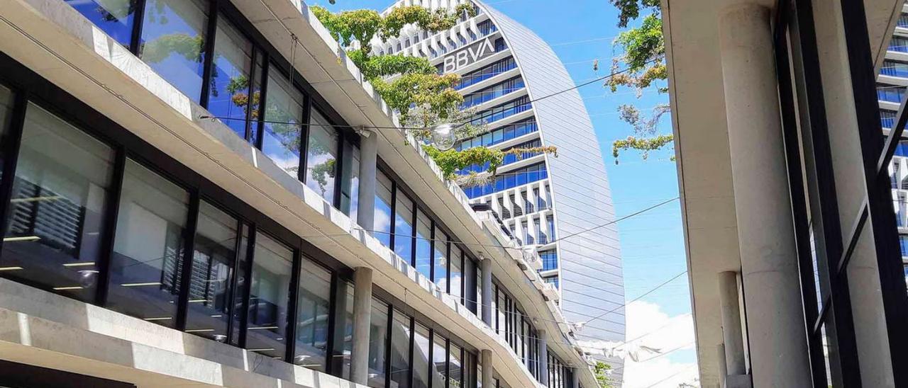 Esta es la sexta convocatoria solidaria BBVA Futuro Sostenible organizada por BBVA Asset Management . | BBVA