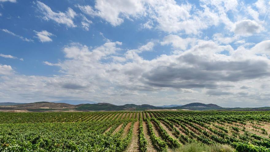 Yerga, tierra de vino, verso y burbuja