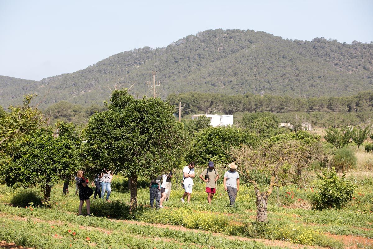 Finca ecológica Tierra de Ibiza