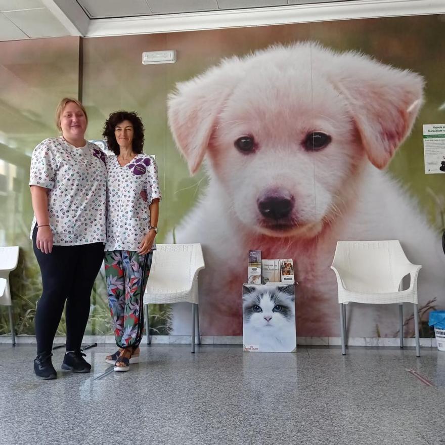 La clínica veterinaria Helike atiende a mascotas de todo tipo.