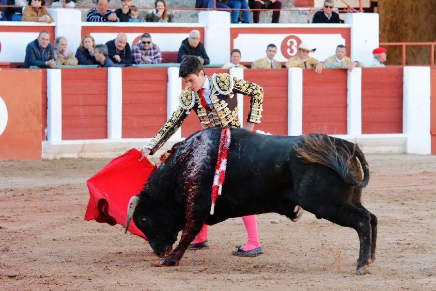 Tarde de toros en Zamora